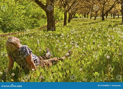 Woman Sitting In Meadow And Trees In The Sun Stock Image Image Of