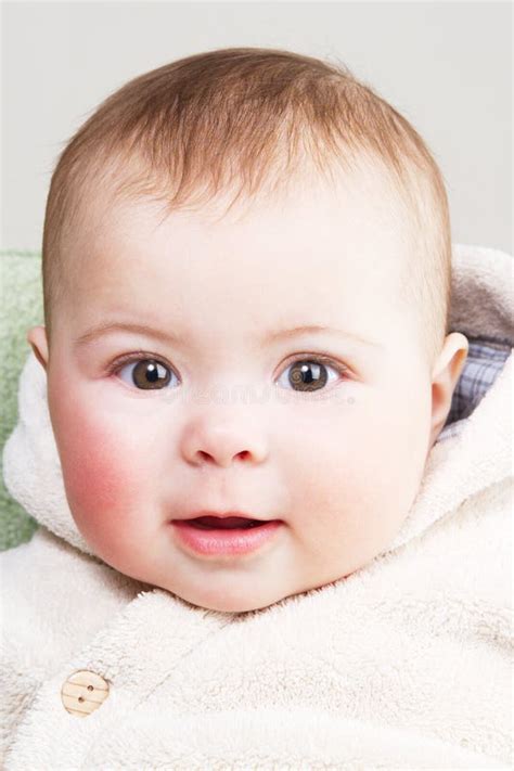portret van een baby stock afbeelding image  rood
