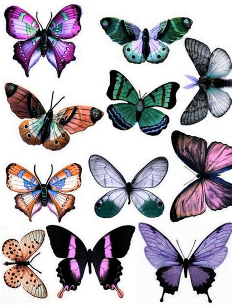 butterflies butterfly drawing butterfly crafts butterfly wings