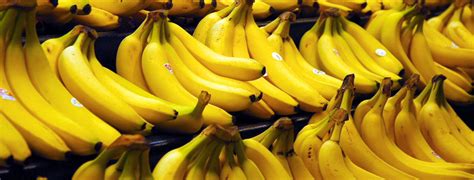 beneficios de comer banano espiritulibre experiencias de naturaleza