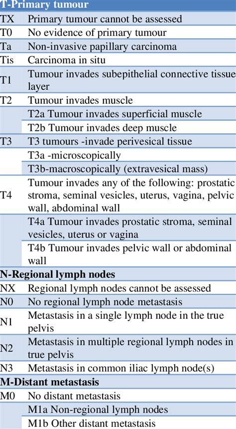 Tnm And Staging Of Urinary Bladder Cancer Simplified My Xxx Hot Girl