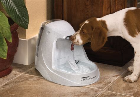automatic dog waterer  pet cages