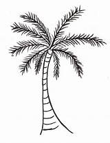 Palm Tree Drawing Easy Kids Steps sketch template