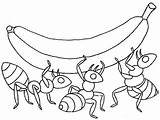 Ant Coloringme sketch template