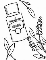 Coloring Lavender Essential Pages Oil Sheets Zone Kids sketch template