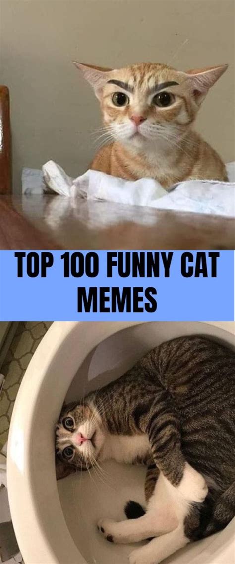 List Of Best And Latest Funniest Cat Memes And Pics Orange Cat Humor