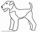 Terrier Airedale Breed Squidoo Gonnafly sketch template