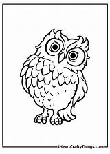 Owls Wise sketch template