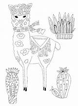 Llama Coloring Pages Cacti Wonder sketch template