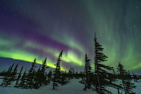 cientistas podem ter desvendado misterio sobre aurora boreal de jupiter cnn brasil