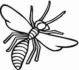 Wasp Coloring4free Insect Insects Bugs sketch template