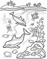 Underwater Oceans Scribblefun sketch template
