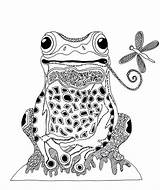Zentangle Thérapie Amphibiens Journaux Artistiques Therapie Grenouilles Pochoir Colorier sketch template