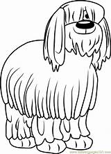 English Old Sheepdog Coloring Pound Puppies Niblet Pages Getcolorings Getdrawings Drawing Color Coloringpages101 sketch template