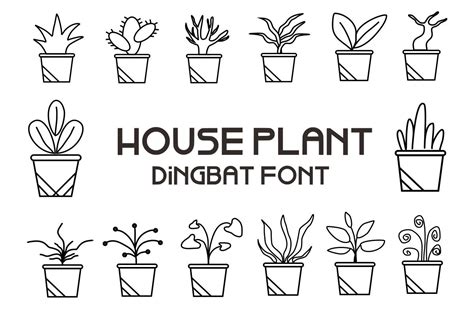 house plant font   font studio