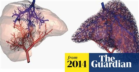 3d Printed Organs Come A Step Closer Medical Research The Guardian