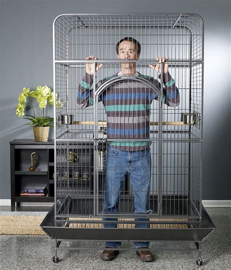 fun   photo shoot    empire cage coming  bird cage large