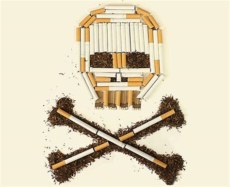 Marlboro Promotion-Shop for Promotional Marlboro on