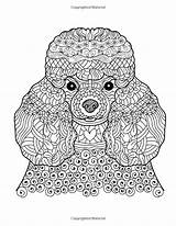 Poodle Mandalas Animales Relieving Perro Perros Mandela sketch template