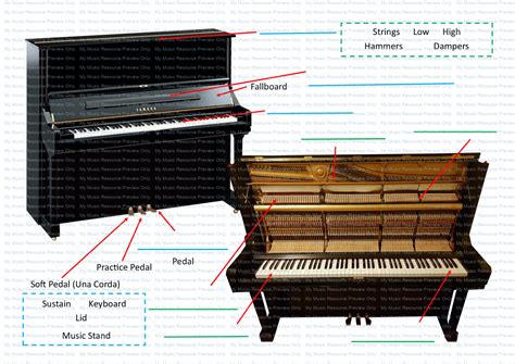 parts   piano worksheet   resource