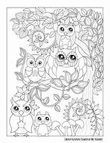 Eule Ausmalbilder Herbst Buch Grown Ups Edwina Mcnamee Colouring Owls sketch template