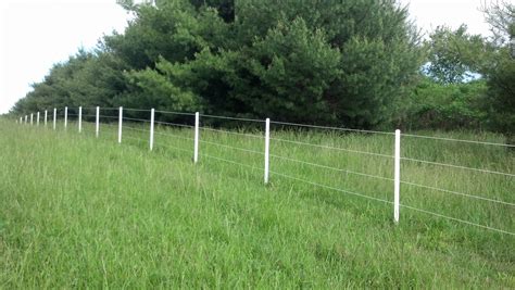 electric fence  wire fence  bar  fence company