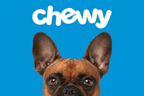 chewy sales growth reflects pet industry  commerce boom    pet food processing