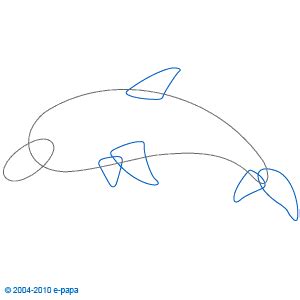 disegnare  delfino  disegnare gli animali  disegnare