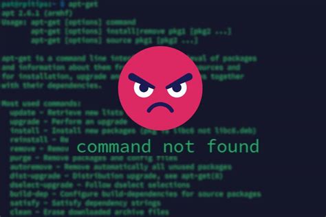 How To Fix The ‘apt Get Command Not Found Error On Linux – Raspberrytips