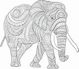 Coloring Elephant Pages Adults Hard Kids sketch template