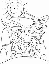 Coloring Pages Cockroach Sunlight Hate sketch template