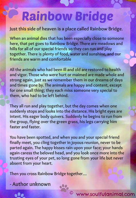 rainbow bridge poem  pet loss soulful animal