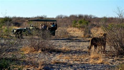 Botswana Safaris Taga Safaris