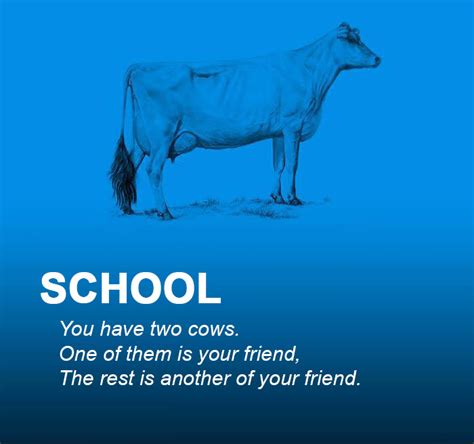 cows explain economics    class architecture design