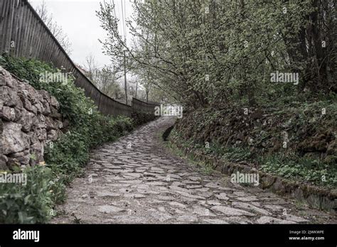 street  rosia montana stock photo alamy