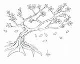 Outline Paintingvalley Blossoms Outlines sketch template