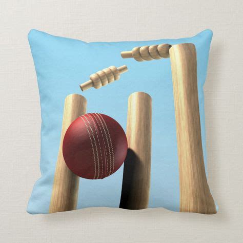 top  cricket wicket ideas  inspiration