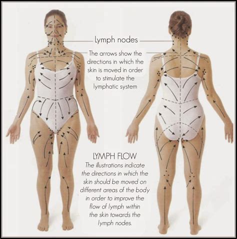 lymphatic flow lymphatic drainage massage dry brushing skin dry