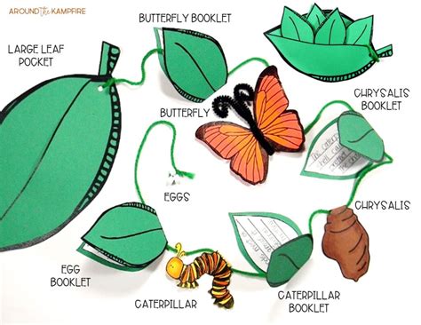 butterfly life cycle resources  printables   kampfire