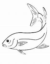 Fish Coloring Pages Kids Drawing Printable Line Tracing Draw Fishing Etching Tattoo sketch template