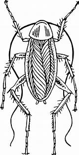 Cockroach Oggy Insect Cockroaches sketch template