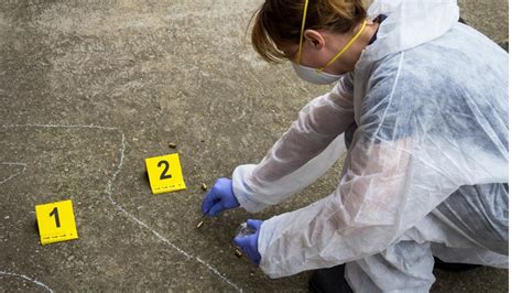 forensic science degrees  guide complete university guide
