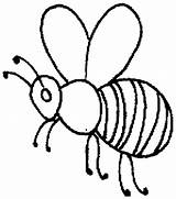 Bee Outline Honey Coloring Pages Beehive Drawing Line Bumblebee Clip Insects Bees Hive Bumble Getdrawings Kids Sky Getcolorings Clipartmag sketch template
