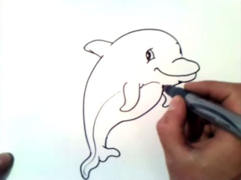 disegnare  delfino  disegnare  delfino passo dopo passo