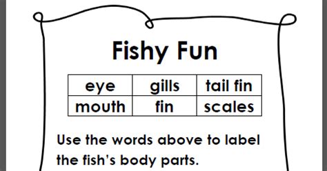 learning ideas grades   simple fish anatomy diagram
