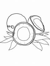 Coconut Coloring Pages Tree Printable Drawing Fruits Kids Color Getcolorings Print Pag Getdrawings Template Categories Recommended sketch template