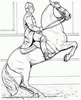 Caballos Caballo Doma Cavalos Cavalo Lipizzaner Dressage Rider Riding Dibujoswiki sketch template