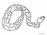 Snake Coloring Pages Baby Printable Kids sketch template