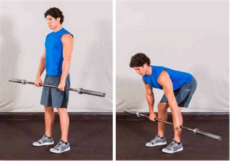 hamstring exercises    types   hamstring workouts strength zone training