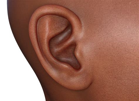 hearing loss worth florida injury attorneys blog february